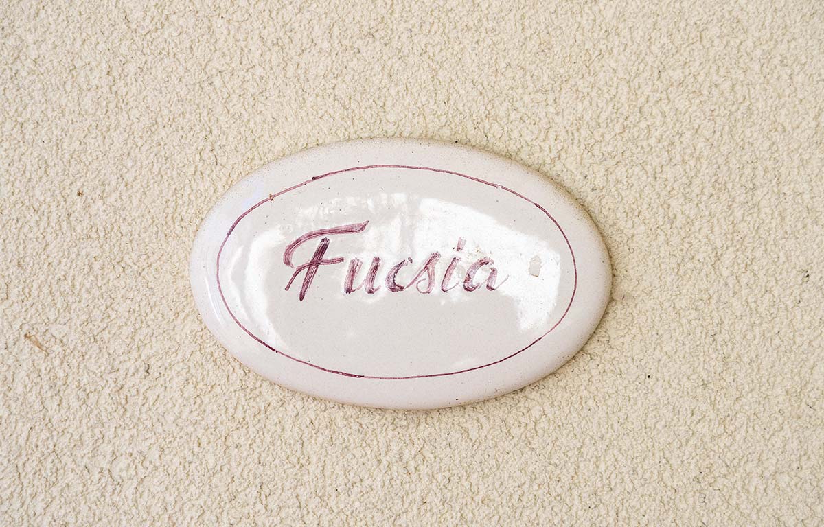 fucsia
