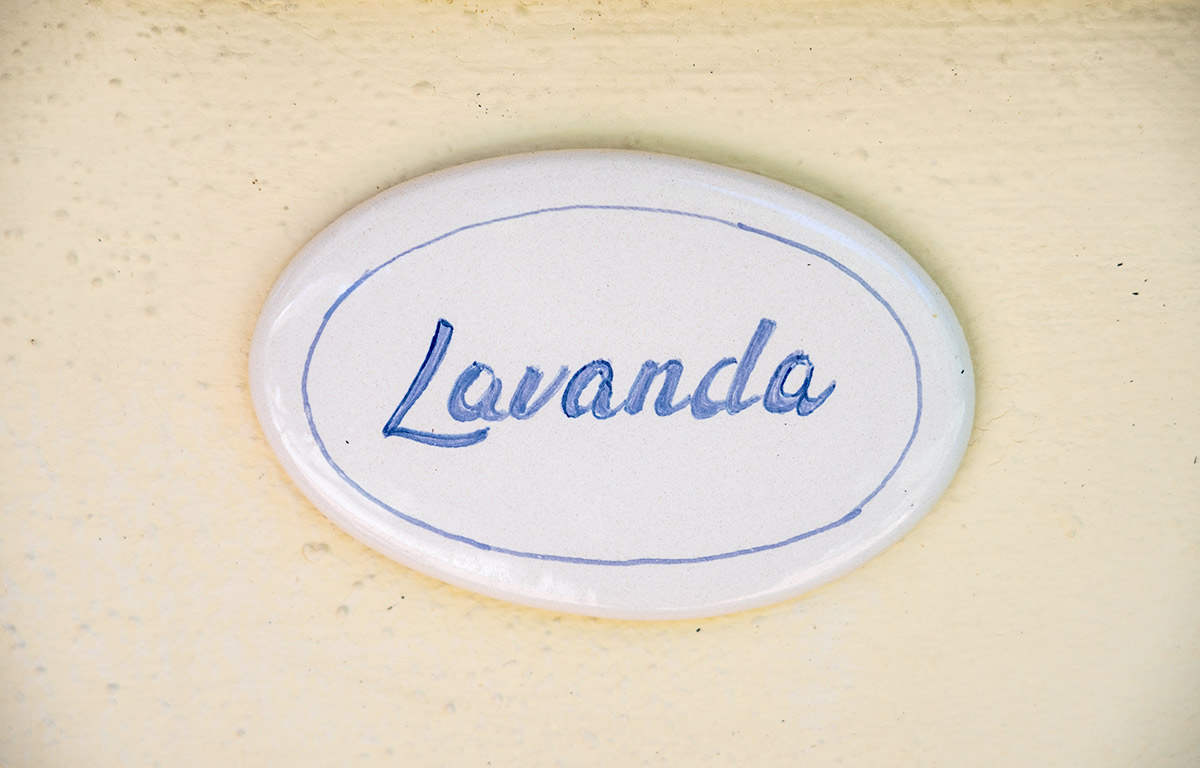 lavanda
